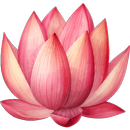 Sthree Sutra -Womanhood phases APK