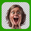 What Sticker Maker APK