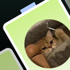 StickerJoy APK