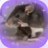 Raton Tierno Stickers WAStickersApps