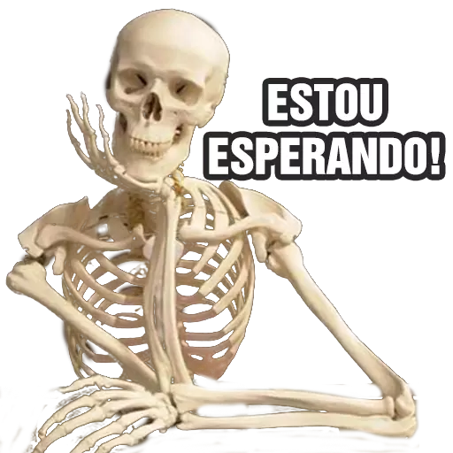 Figurinhas de memes WASticker