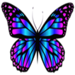 Butterflies Stickers