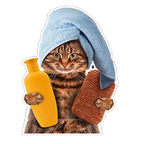 Cats Funny Stickers for WhatsApp 2019 icon