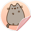 Pegatinas de Pusheen para Whatsapp