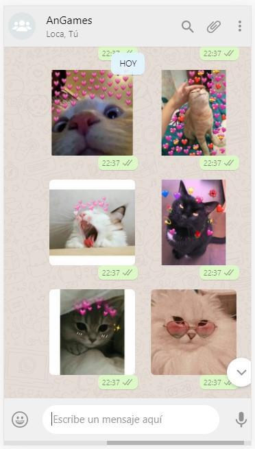 Gatos Con Corazones Stickers Gatitos Y Amor For Android Apk Download Gatos Con Corazones Stickers Gatitos Y Amor For Android Apk Download