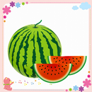 Summer Food WAstickerapps APK