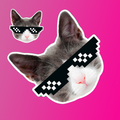 Make Stickers