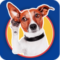 Dogs Stickers