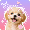 Stickify: Sticker Maker icon