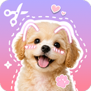 Stickify: Sticker Maker APK