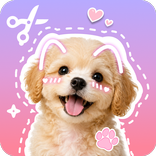 Stickify: Sticker Maker