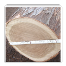 APK Log Scale Tally