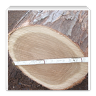 Log Scale Tally icono