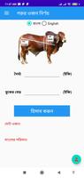 গরুর ওজন ও  মাংসের পরিমান | Calculate Weight Cartaz