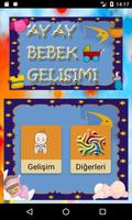 Bebek Gelişimi Ay Ay Detaylı plakat