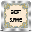 Kuran'dan Kısa Sureler Sesli APK