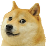 Doge Snake