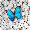 Stone Wallpapers 4K icon