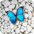 Stone Wallpapers 4K