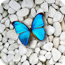 Stone Wallpapers 4K-APK