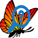 Butterfly Recognizer APK