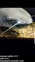 Fish Recognizer Ekran Görüntüsü 1