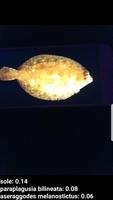 Fish Recognizer Ekran Görüntüsü 2