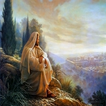 Story of jesus