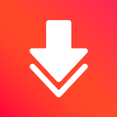 Story Downloader & IGSaver APK