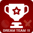 D11 Team APK