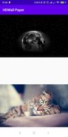 HD Wallpaper Collect скриншот 1