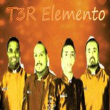 T3R Elemento icône