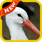 Stork Wallpaper icon