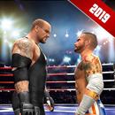 Real Wrestling Stars Ultimate Fighting 2019 APK