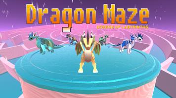 Dragon Maze Affiche