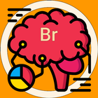 Brain Check Game ikona