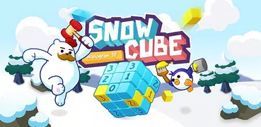 SnowCube : 3D Nonogram