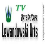TV Lewandowski Arts