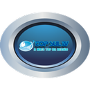 Web TV Top Sul-APK