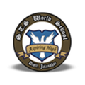 S.T.S. World School