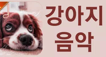 강아지음악 bài đăng