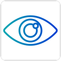 Stream Vision
