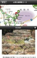 山背古道 ảnh chụp màn hình 2