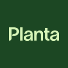 Planta 아이콘