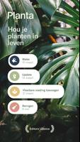 Planta-poster