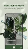 Planta captura de pantalla 2