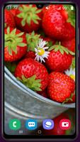 Strawberry Wallpaper पोस्टर