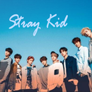 Stray Kids All Song 2019 APK