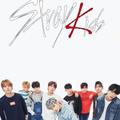 Aesthetic Wallpaper Stray Kids