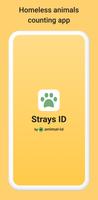 Strays ID gönderen